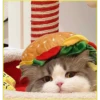 Gatitos💞6🇵🇪Clásica 6