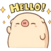 Mini pig 7