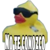 NO TE CONOZCO