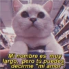 Para Enamorar A Tu Crush 5