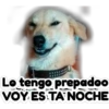 devuelveme a mi chica stickers 8
