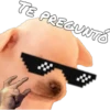 TE PREGUNTÓ