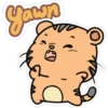Yacon