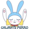 lovely rabbit૮꒰˵ ﻌ ˵꒱ა 9