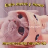 Para Enamorar A Tu Crush 8
