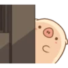 Mini pig 8