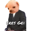 ERES GEI