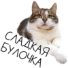 Лента Добра х Vetland Adoption (@dobrayalenta ) 11