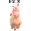 HOLIS
PLG.