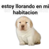devuelveme a mi chica stickers 9