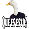 QUE ES ESTO?