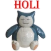 HOLI