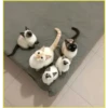 Gatitos💞6🇵🇪Clásica 15