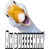 AHOTTEE
IMM