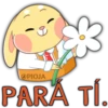 @PIOJA
PARÁ TÍ.