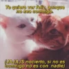 Para Enamorar A Tu Crush 13
