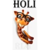 HOLI
RL