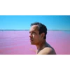 The Mystery of the Pink Flamingo 10