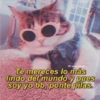 Para Enamorar A Tu Crush 14