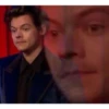 Harry Styles 3 13