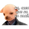 NO CREO
QUE NO
LO MARÉ,