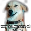 devuelveme a mi chica stickers 12