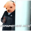 NOMAMES QUE ASCO!