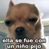 devuelveme a mi chica stickers 13