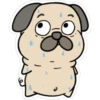 Animais bonitos 2 17
