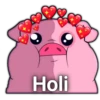Holi