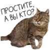 Лента Добра х Vetland Adoption (@dobrayalenta ) 18
