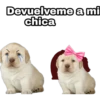 devuelveme a mi chica stickers 14