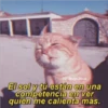 Para Enamorar A Tu Crush 19