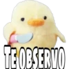 TE OBSERVO