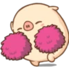 Mini pig 11