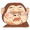 mr monkey 2 21