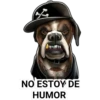 STICKERS MIX 4 CLÁSICA 22
