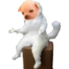 Chihuahua Memes 24