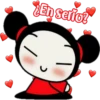 Pucca 23