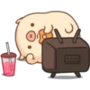 Mini pig 15