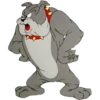 Tom y Jerry 24