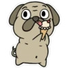 Animais bonitos 2 24
