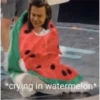 DSBFs
*crying in watermelon*