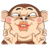 mr monkey 2 26