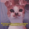 Para Enamorar A Tu Crush 23