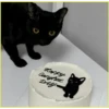 Gatitos💞6🇵🇪Clásica 25