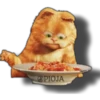 OPIOJA