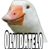 OLVIDATELO
