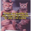 Para Enamorar A Tu Crush 25