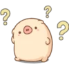 Mini pig 17